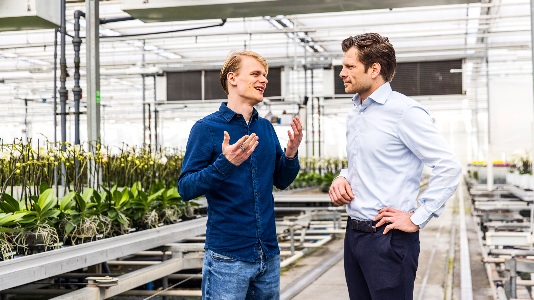 Twee mannen die met elkaar praten in een kas met orchideeën